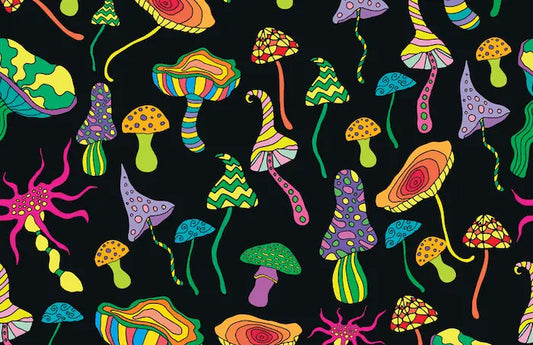 Modern-Psychedelic-Microdosing-Research-on-Mental-Health-A-Systematic-Review Mental Joe