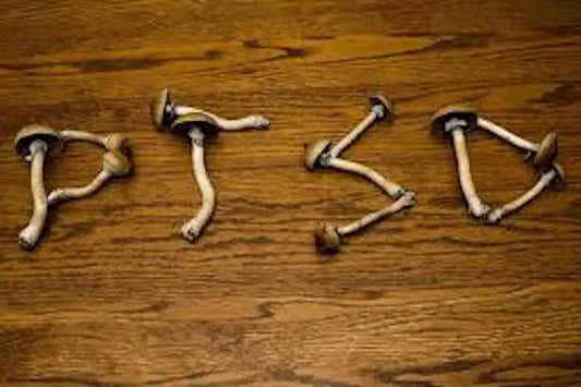 Psychedelic-Therapy-For-PTSD-Possible-Breakthrough-In-VA-Mental-Health-Care Mental Joe