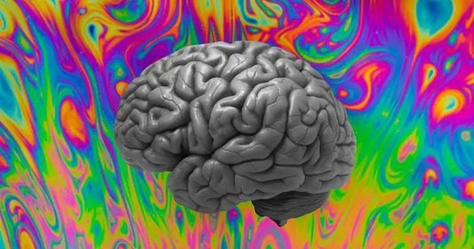 Blake-Mycoskie-of-Toms-Shoes-on-Solving-the-U.S.-s-Mental-Health-Crisis Mental Joe