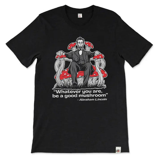 "Honest Abe" Mental Joe