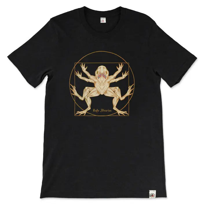 Bufo Alvarius Toad Mental Joe