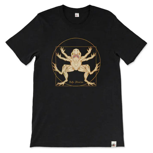 Bufo Alvarius Toad Mental Joe