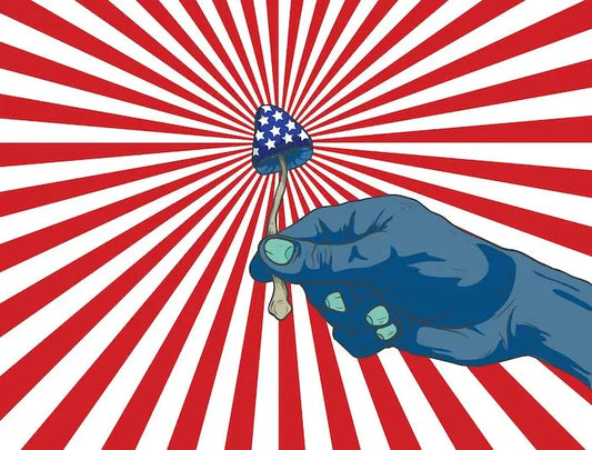 VA-Signals-Historic-Policy-Shift-By-Funding-First-Ever-Psychedelic-Studies-for-Veterans Mental Joe