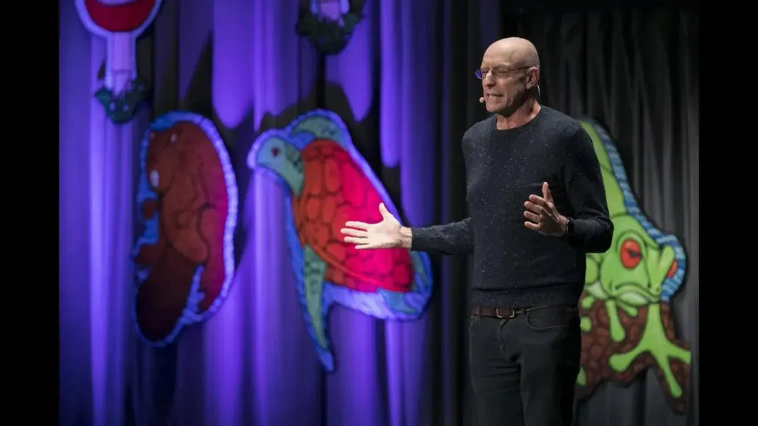 Psychedelics-and-How-to-Change-Your-Mind Mental Joe