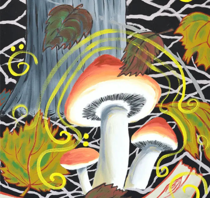 Could-the-Embrace-of-Psychedelics-Lead-to-a-Mental-Health-Revolution Mental Joe