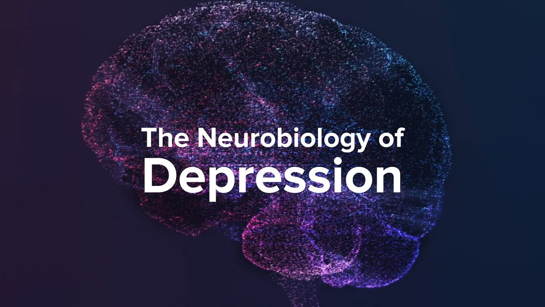 How Depression Affects the Brain -  Yale Medicine Explains