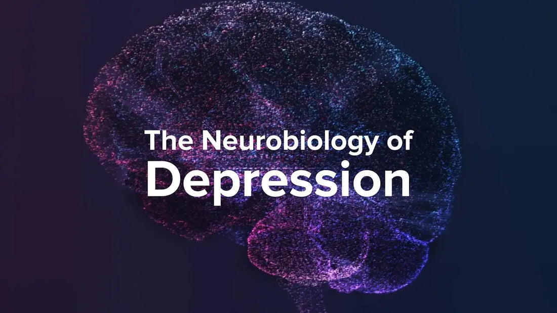 How-Depression-Affects-the-Brain-Yale-Medicine-Explains Mental Joe