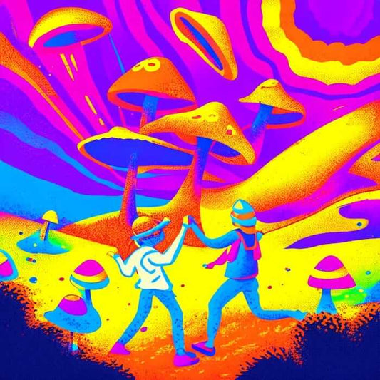 Arizona Plan To Extend Psychedelic Mushroom Study Takes Step Forward In House