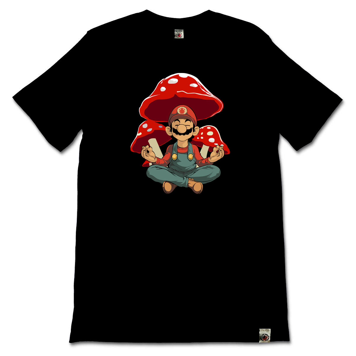 Mario, Level Up!